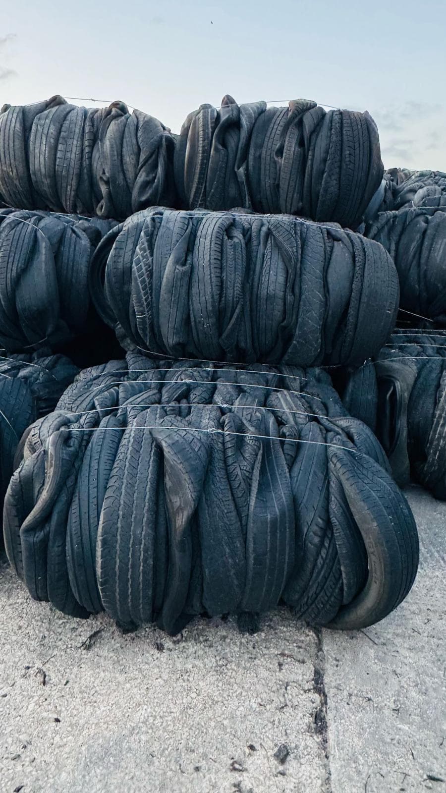 Baled scrap tires ready for export — ScraPack Solutions